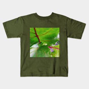 Red Beet Foliage Kids T-Shirt